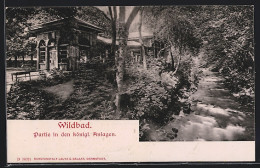 AK Wildbad / Schwarzwald, Partie In Den Königl. Anlagen  - Autres & Non Classés