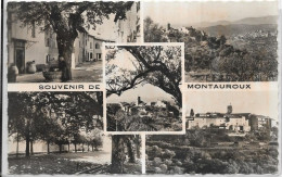 D 83. MONTAUROUX. SOUVENIR. CARTE ECRITE - Montauroux