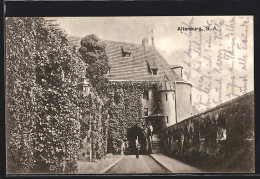 AK Altenburg /S.-A., Einfahrt Zum Schloss  - Altenburg