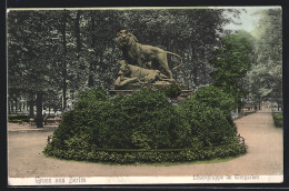 AK Berlin, Löwengruppe Im Tiergarten  - Dierentuin