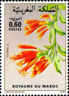 Maroc Poste N** Yv: 947 Mi:1027 Tecoma Sp. - Marokko (1956-...)