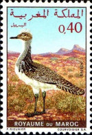 Maroc Poste N** Yv: 607 Mi:673 Chlamydotis Undulata-Otididae Outarde - Morocco (1956-...)