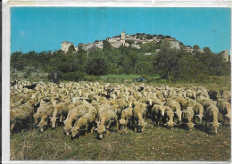 D 83. MOISSAC.  TROUPEAU DE MOUTONS. CARTE ECRITE - Sonstige & Ohne Zuordnung