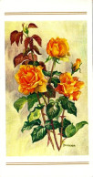 *CPM Double - Roses - Peinture De Irène SCHRICKER (Handicapée) - Carte De Vœux - Peintures & Tableaux