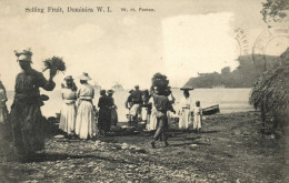 Dominica, W.I., ROSEAU, Selling Fruit (1911) Photograph W.H. Fenton Postcard - Dominique