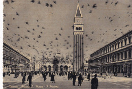 Cartolina Venezia - Piazza San Marco - I Piccioni - Venezia (Venedig)