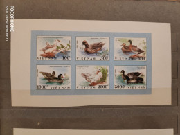 1990	Vietnam	Ducks 20 - Vietnam