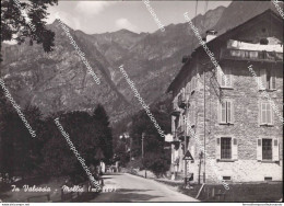 Bh671 Cartolina Mollia In Valsesia Provincia Di Vercelli Piemonte Vedi Retro - Vercelli