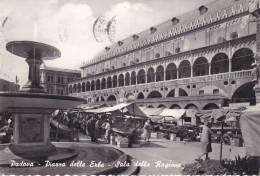 Cartolina Padova - Piazza Delle Erbe - Sala Della Ragione - Padova