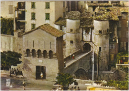 ENTREVAUX Le Pont Levis - Altri & Non Classificati