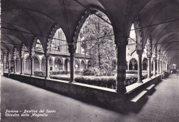 Cartolina Padova - Basilica Del Santo - Chiostro Della Magnolia - Padova (Padua)