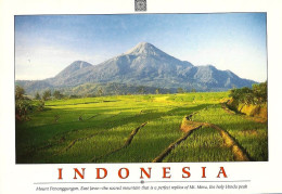 *CPM  - INDONESIE - JAVA - Mont Penanggungan - Indonesien