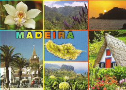 *CPM  - PORTUGAL - Madeira - Multivues - Madeira