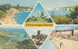 AK 213692 ENGLAND - Dorset - Sonstige & Ohne Zuordnung