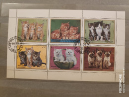 1972	Sharjah	Cats 21 - Schardscha