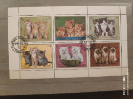 1972	Sharjah	Cats 21 - Sharjah