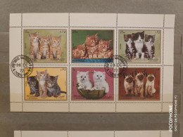 1972	Sharjah	Cats 21 - Schardscha