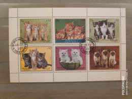 1972	Sharjah	Cats 21 - Schardscha