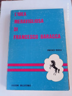 L'IDEA MERAVIGLIOSA DI FRANCESCO BARACCA - Italienisch