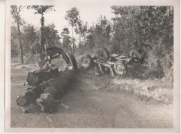 REF ENV15 Photo Originale 24 X 18 Cm Accident Camion Grue Forestier - Automobiles