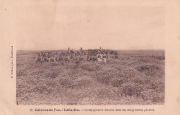 MAROC(MILITAIRE) LALLA ITO - Autres & Non Classés