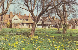 AK 213703 ENGLAND - Hever Castle - Andere & Zonder Classificatie