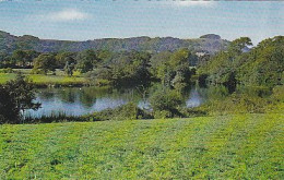 AK 213705 ENGLAND - Chanctonbury Ring From Wiston Lake - Autres & Non Classés