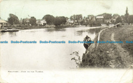 R641454 Halliford. View On The Thames. 1906 - Wereld