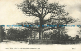 R641471 Leamington. Oak Tree. Centre Of England - Wereld