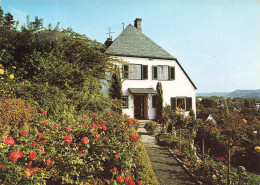 ALLEMAGNE - Stiftung Bundeskanzler Adenauer Haus - Wohnhaus Und Garten Konrad Adenauers - Carte Postale Ancienne - Koeln