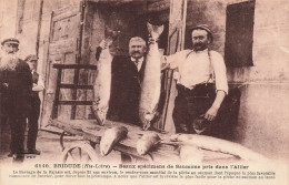 FRANCE - Brioude - Beaux Spécimens De Saumons Pris Dans L'Allier - Carte Postale Ancienne - Brioude
