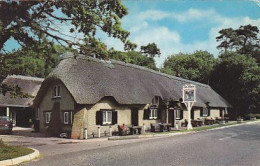 AK 213721 ENGLAND - New Forest - Cat  And Fiddle Inn - Andere & Zonder Classificatie