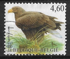 N° 3851°. - 1985-.. Oiseaux (Buzin)