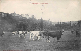 54  .  N° 202392   .    LIVERDUN .LA GARENNE - Liverdun