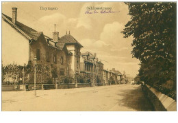 57.HAYINGEN.n°31001.SCHLOSSSTRASSE - Autres & Non Classés