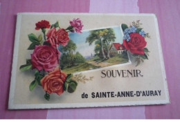 56 . N°100511 . Sainte Anne D Auray .souvenir . Carte A Systemes - Sainte Anne D'Auray