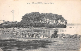 56 .n° 109946. Ile Aux Moines . Anse Du Gueric .femme . - Ile Aux Moines