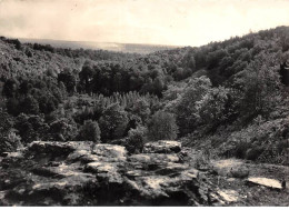 53 - ST CALAIS DU DESERT - SAN23534 - Le Saut De La Biche - CPSM 15X10,5 Cm - Autres & Non Classés