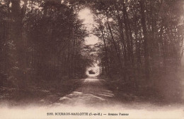 FRANCE - Bourron Marlotte - Avenue Pasteur - Carte Postale Ancienne - Other & Unclassified