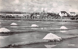 56 - CARNAC - SAN29336 - Les Marais Salants - CPSM 14X9cm - Carnac