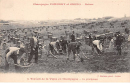 51 - REIMS - SAN33235 - Champagne Pommery & Greno - Le Provignage - Vigne - Agriculture - Métier - Reims