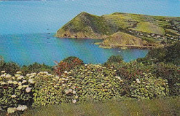 AK 213728 ENGLAND - Combe Martin Bay And The Hangma - Other & Unclassified