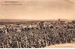 51 - REIMS - SAN44871 - Moët Et Chandon - Les Vendanges à Le Mesnil Oger - Vigne - Reims