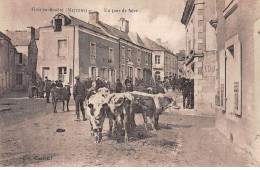 53 - GREZ EN BOUERE - SAN51716 - Un Jour De Foire - Agriculture - Andere & Zonder Classificatie