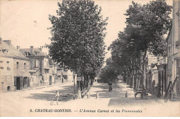 53.52 - CHATEAU GONTIER - SAN43648 - L'Avenue Carnot Et Le Promenades - Chateau Gontier