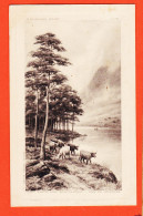 2007 / H.W ALLEN Pinxt Lac Dans Les Montagnes See Im Gebirge Achille BAUX à Marie SERRES Pomy  G-M-B Séries 4029 - Malerei & Gemälde