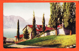 2138 / Paysage Alpin Suisse Lac  N.Z.G Série 61 N° 3003 Printed In SWITZERLAND  - Musées