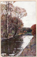 2070 / Peter Paul MÜLLER-WERLAU 1864-1945 Bouleaux Bord De Rivière En Automne Birken, Flußbord Im Herbst K.F Série 910 - Paintings