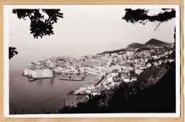 2233 / DUBROVNIK Croatia Yougoslavia 1950s Foto Special - Jugoslavia