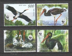 Belarus 2005 Mi 597-600 MNH WWF - STORK BIRD - Unused Stamps